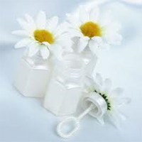 Daisy Wedding Bubbles
